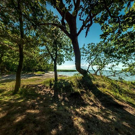 Traumhaff Kuestenchalets - Einzigartige Chalets An Der Ostsee. Ganz Aus Laerchenholz Mit Kamin Und Sauna Vogelsang-Warsin Екстериор снимка